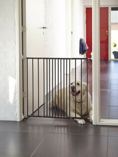 Dogspace hondenhekjes