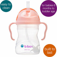 B.box Sippy Cup 240ml | Tutti Frutti