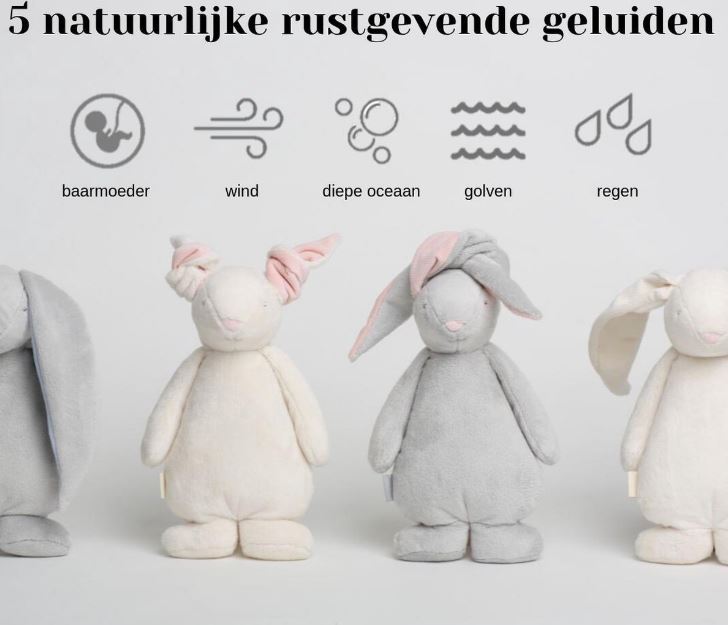 https://www.kinderveiligheidswinkel.nl/Files/6/91000/91275/ProductPhotos/Source/2077533000.jpg